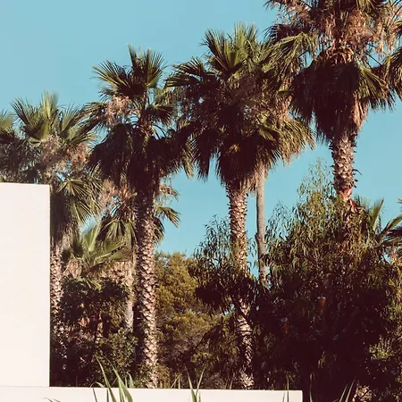 別荘 Elegant Designer By The Sea In Corsica Taglio-Isolaccio