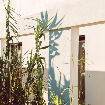 別荘 Elegant Designer By The Sea In Corsica *