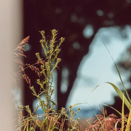 Elegant Designer By The Sea In Corsica * Taglio-Isolaccio