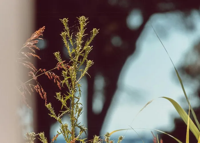 Elegant Designer By The Sea In Corsica * Taglio-Isolaccio